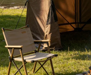 Portable Pop Up Camping Tent, Shade Screen Tent With 2 Roll-up Windows And Carry Bag For Camping, Backyard