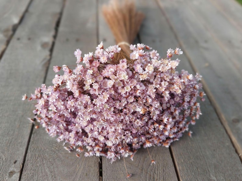 Lavender Dried Flower Star-Shaped Daisies Home Floral Arrangement