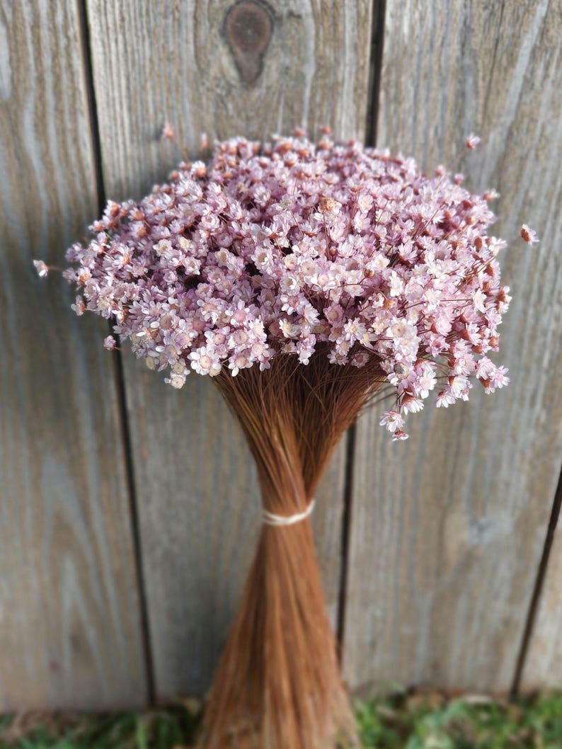 Lavender Dried Flower Star-Shaped Daisies Home Floral Arrangement