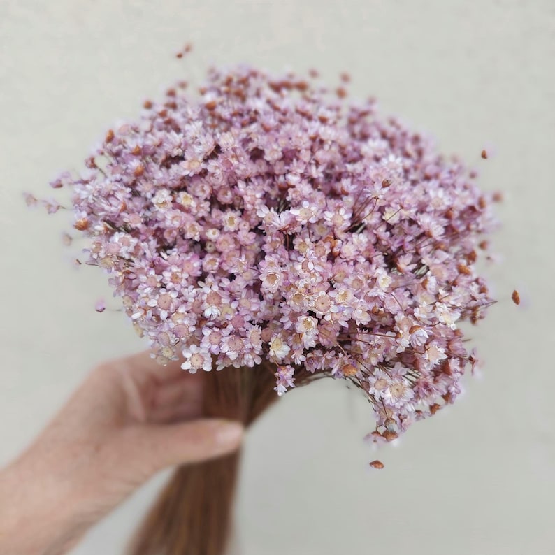 Lavender Dried Flower Star-Shaped Daisies Home Floral Arrangement