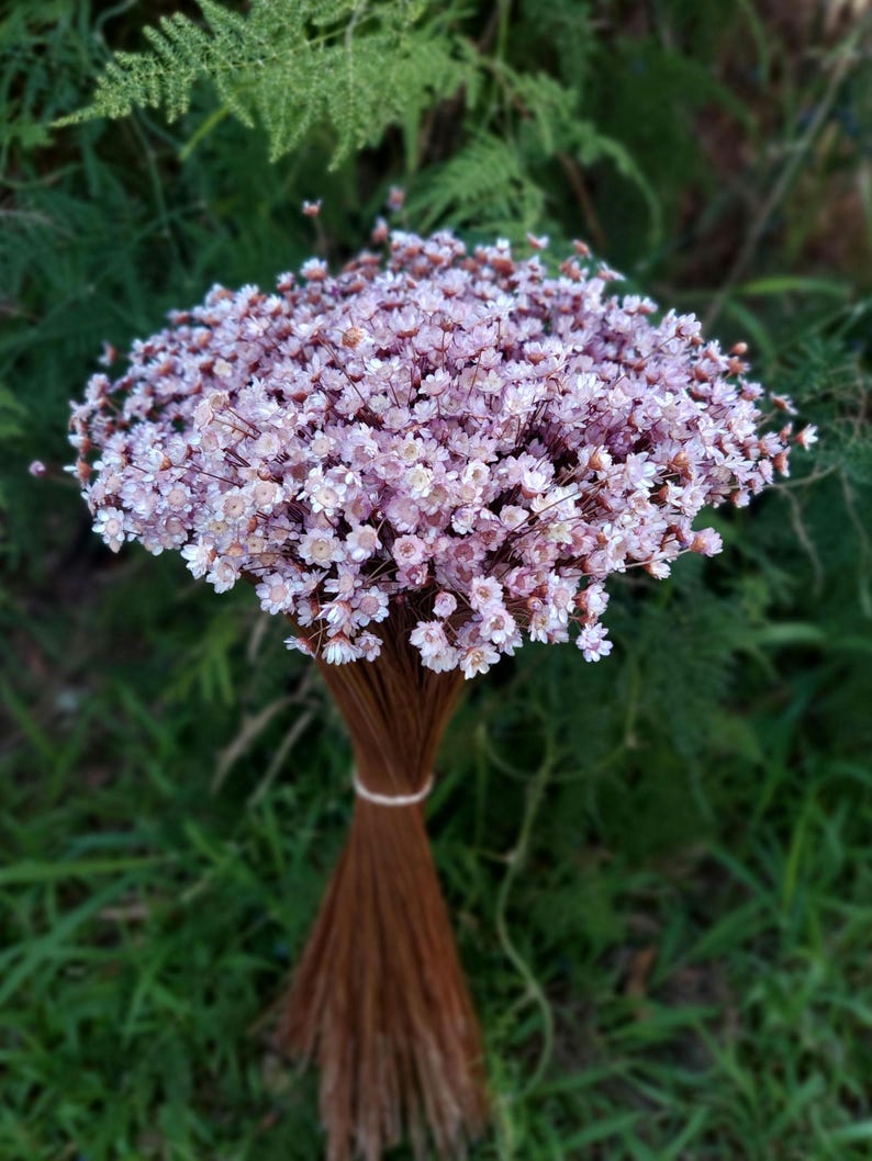 Lavender Dried Flower Star-Shaped Daisies Home Floral Arrangement