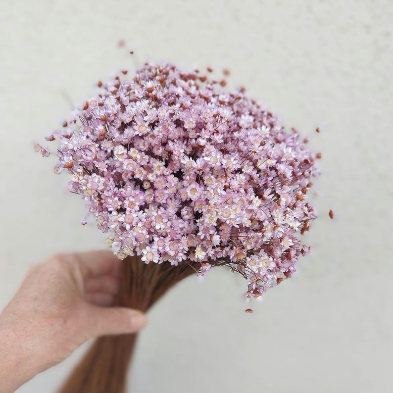 Lavender Dried Flower Star-Shaped Daisies Home Floral Arrangement