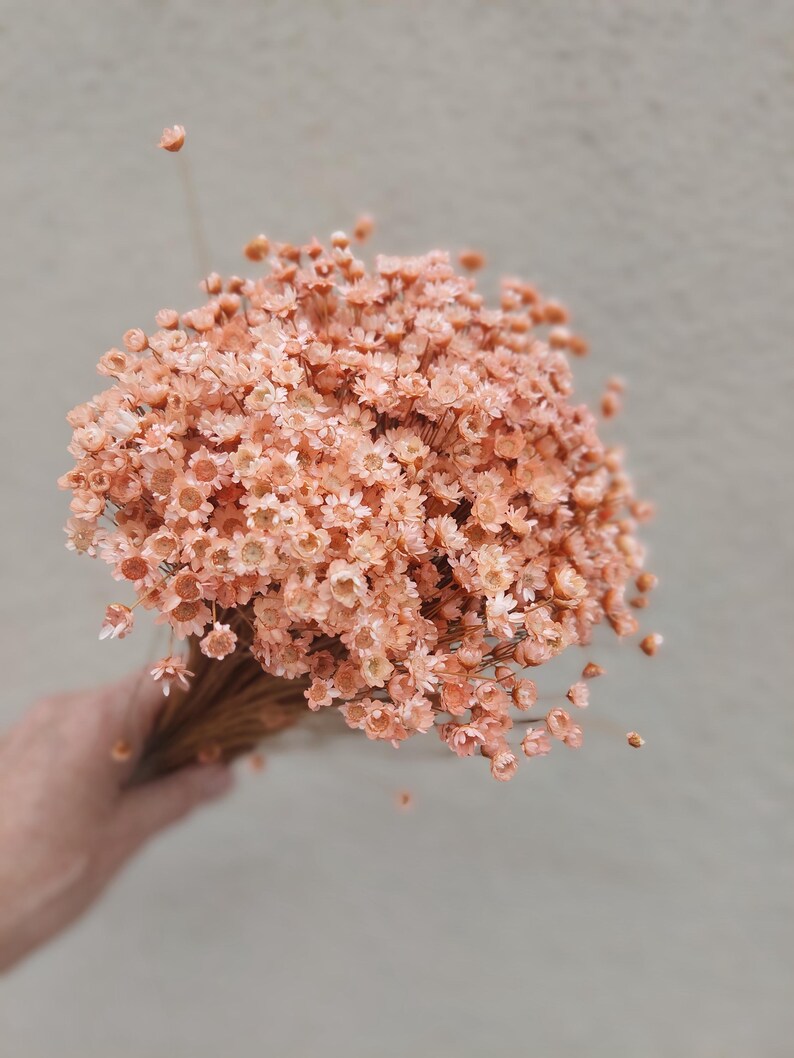 Peach Dried Star Flowers Daisy Floral Arrangement
