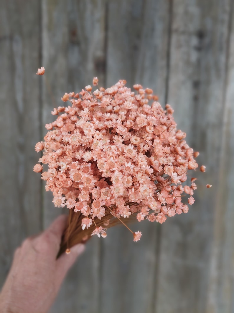 Peach Dried Star Flowers Daisy Floral Arrangement