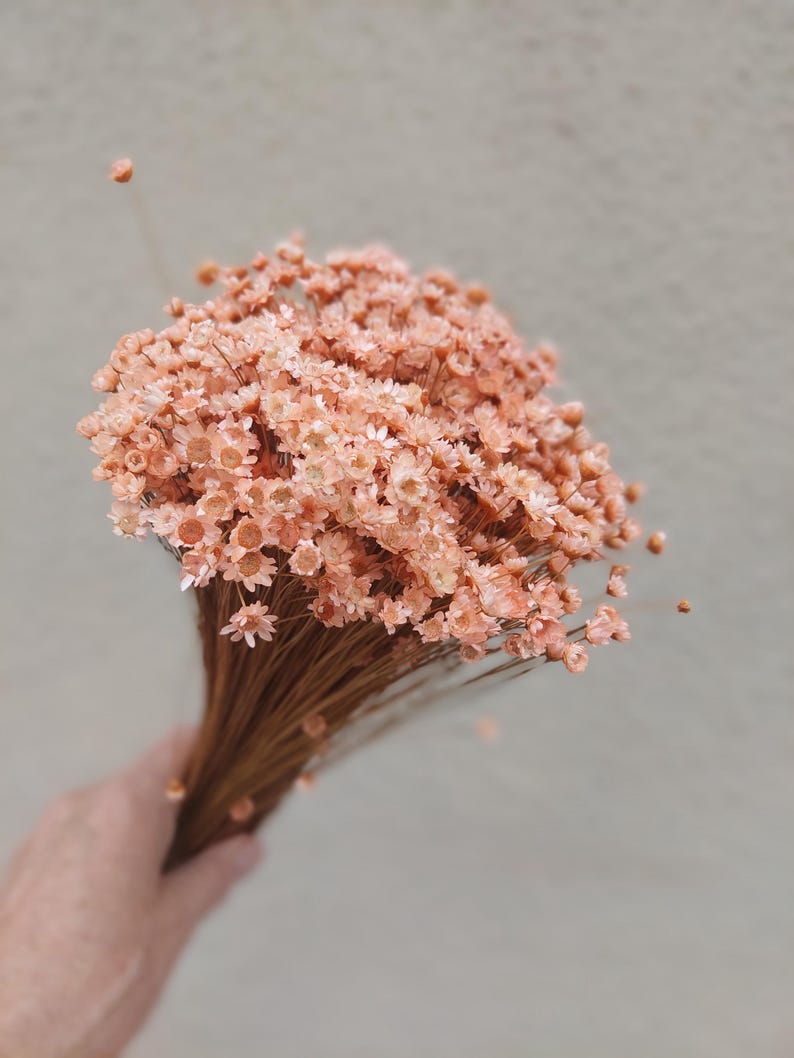 Peach Dried Star Flowers Daisy Floral Arrangement