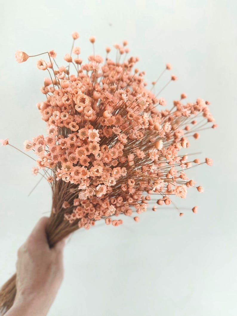 Peach Dried Star Flowers Daisy Floral Arrangement