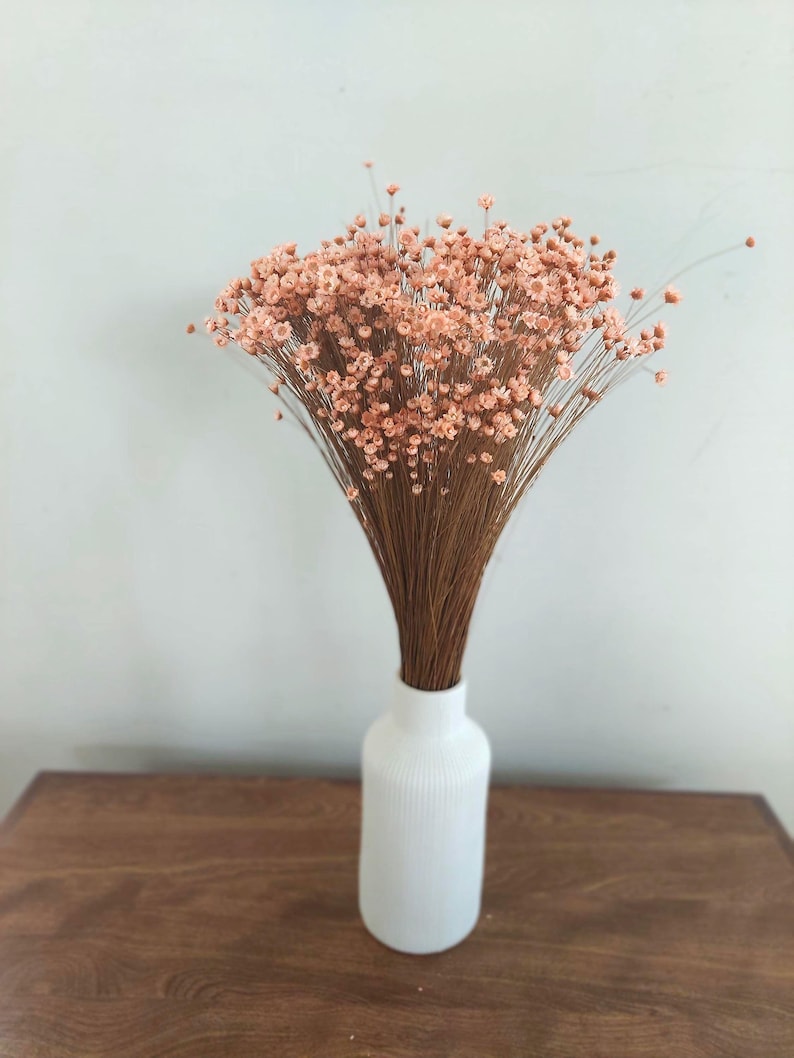 Peach Dried Star Flowers Daisy Floral Arrangement