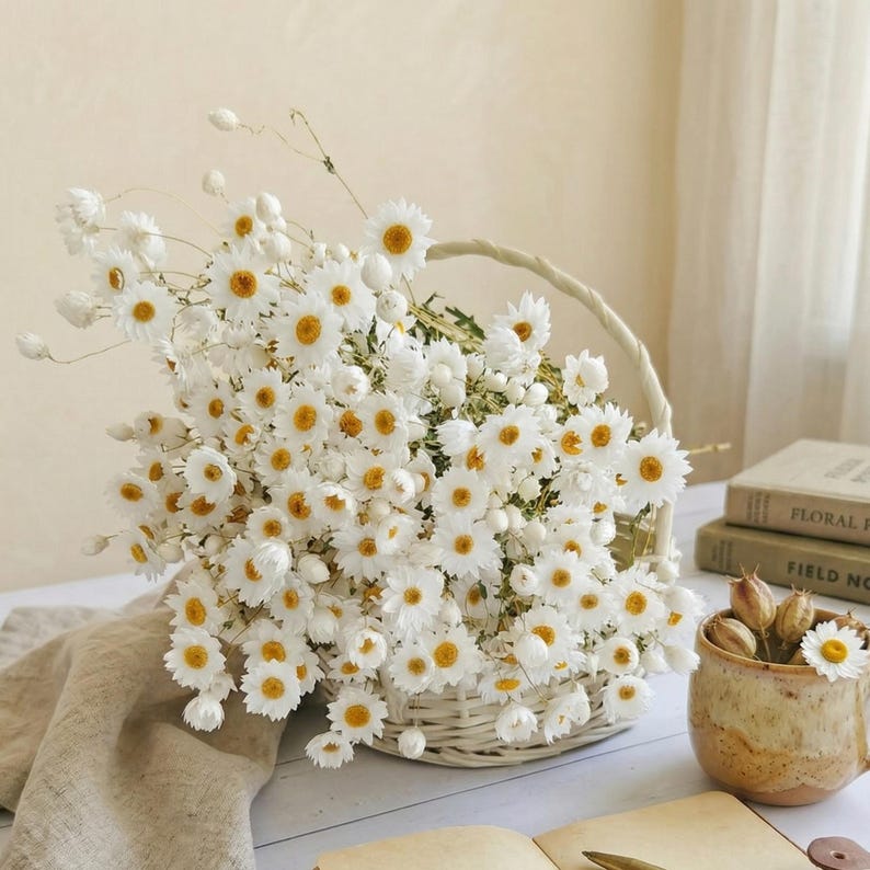 Natural paper daisies, rustic floral decorations