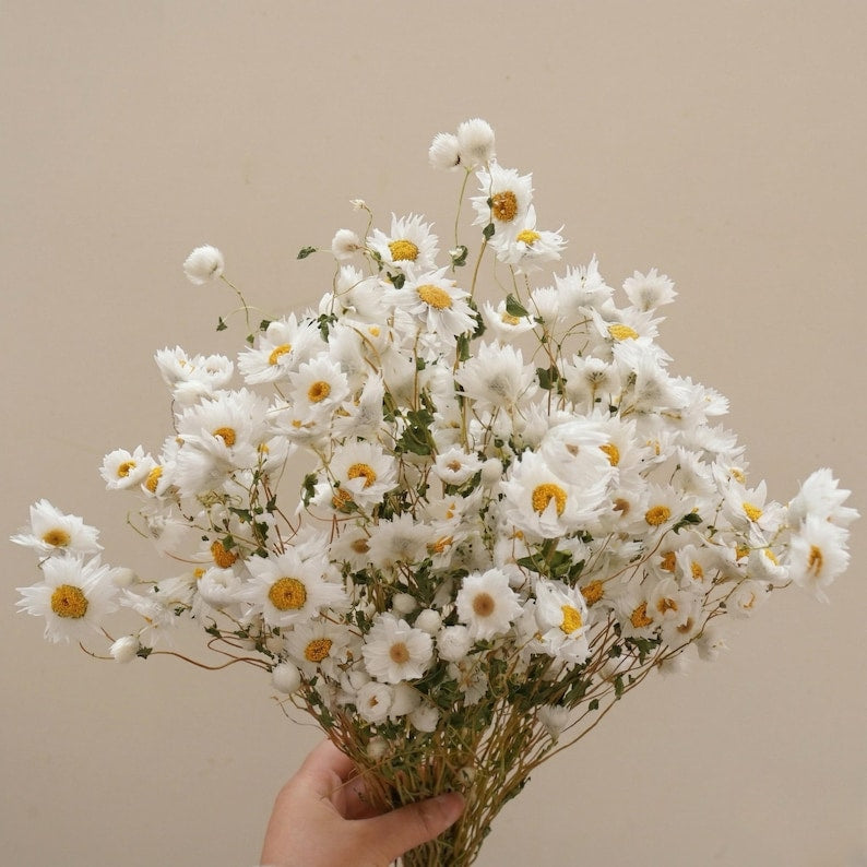 Natural paper daisies, rustic floral decorations