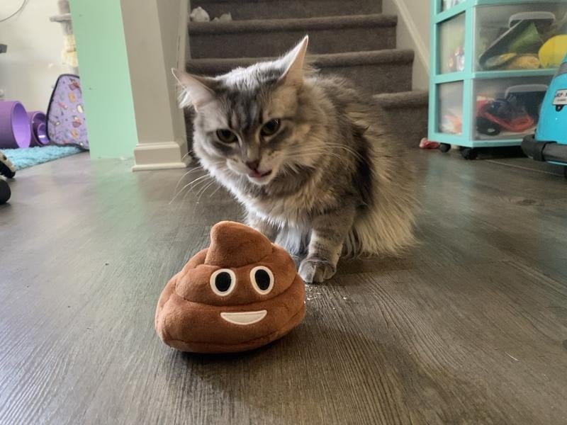 Funny Talking Poop Plush Toy – Makes Fart Sounds!