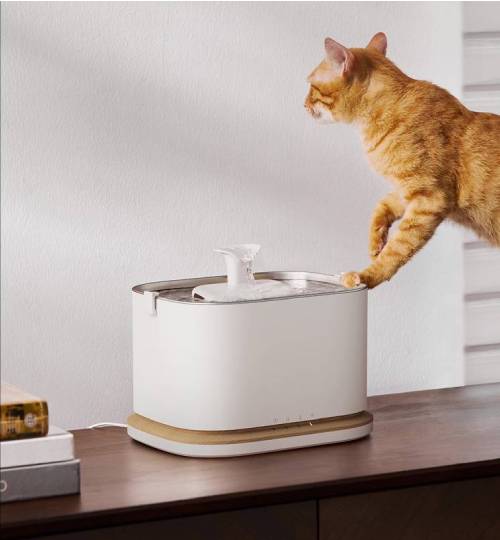 Smart Water Fountain