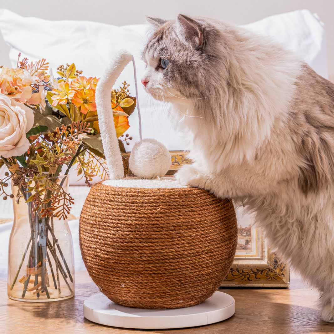 Natural Jute Coconut Cat Scratching Ball