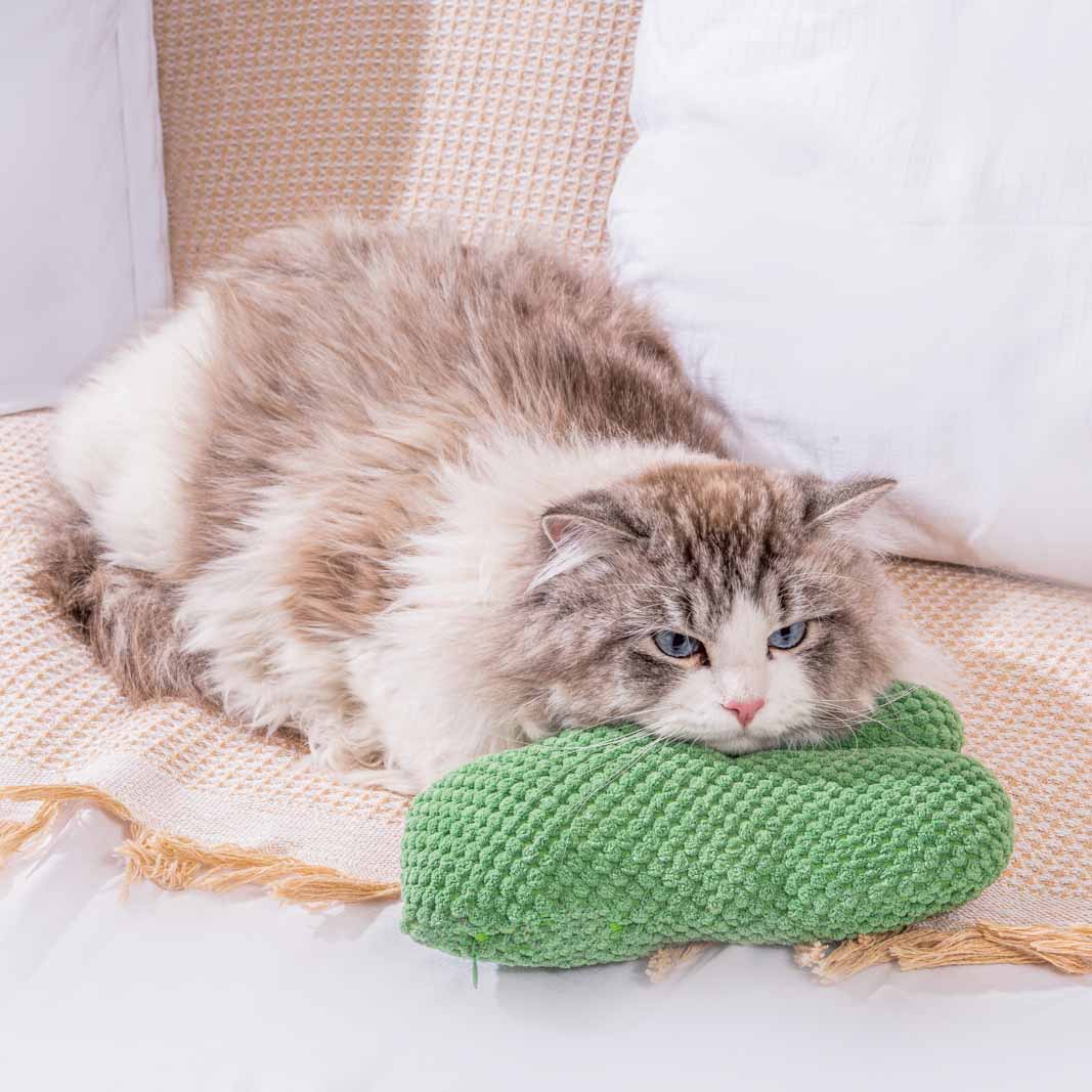 Cactus Cat Chewing Toy with Catmint