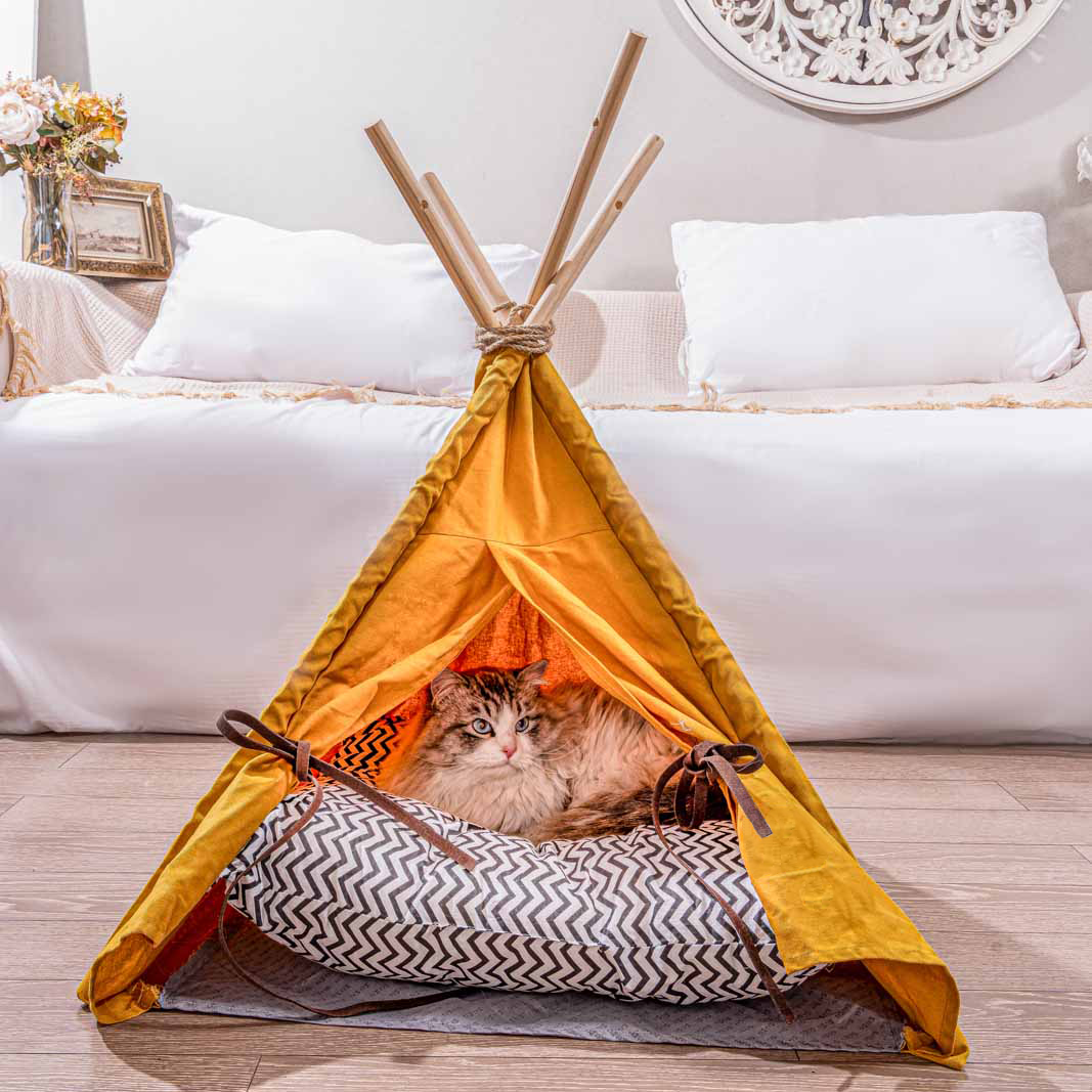 Tent Beds Cats and Dogs