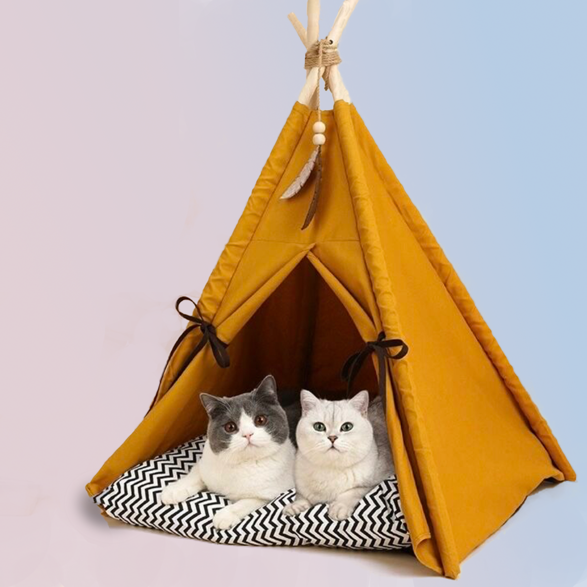 Tent Beds Cats and Dogs