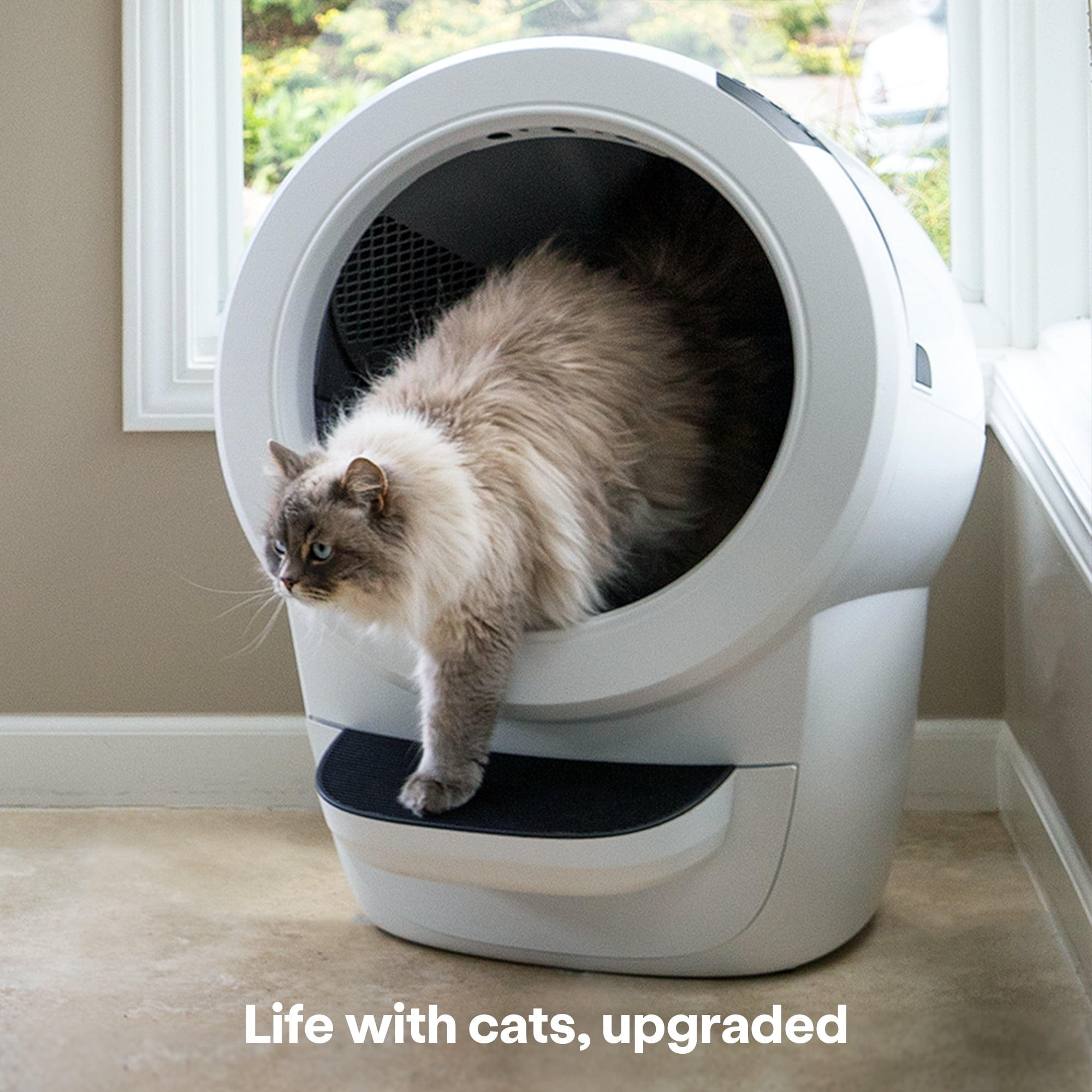 Self-Cleaning Cat Litter Box with Accessories, Black