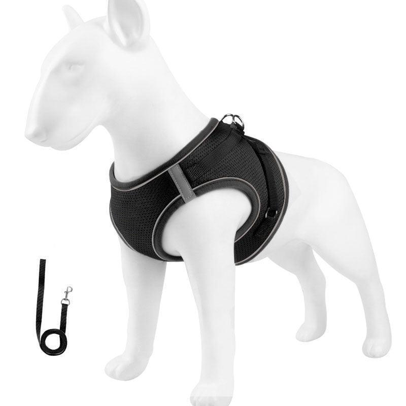 Basic Cat Harness Escape Proof 4 Color Leash Set Cat Lead