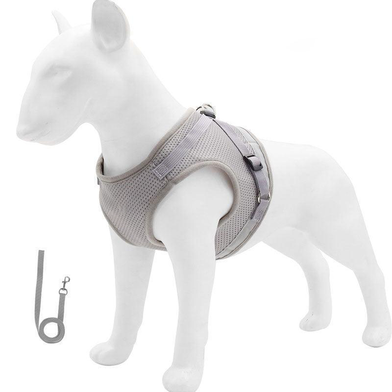 Basic Cat Harness Escape Proof 4 Color Leash Set Cat Lead