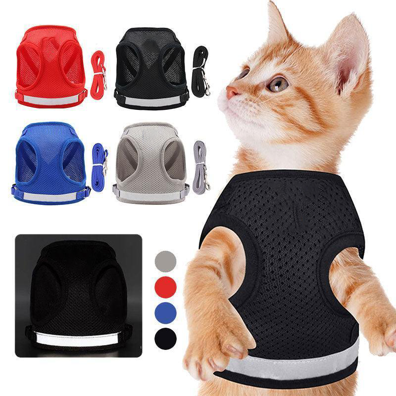 Basic Cat Harness Escape Proof 4 Color Leash Set Cat Lead