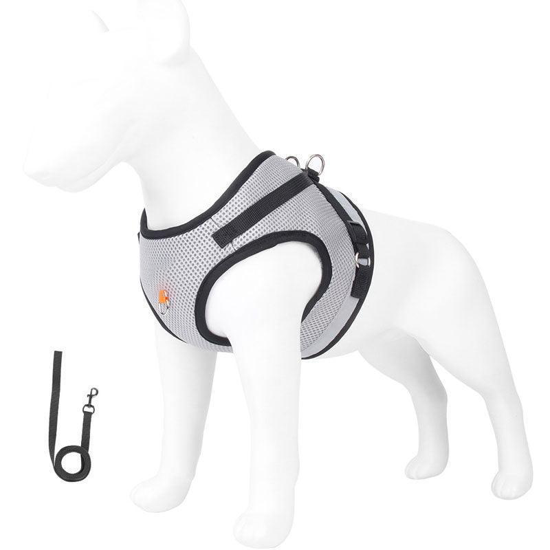 Basic Cat Harness Escape Proof 4 Color Leash Set Cat Lead
