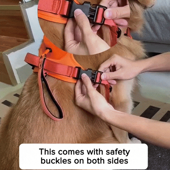 All in one Dog Harness and Leash Set