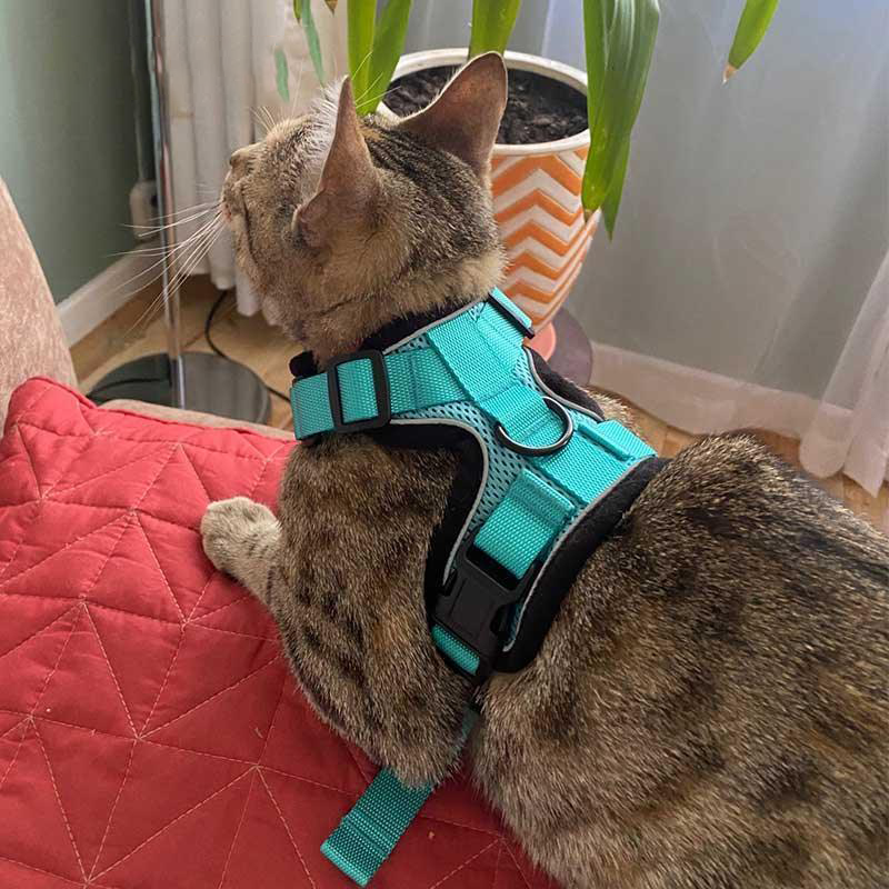 Reflective Strips Cat Leash Set 11 Color Vest Harnesses