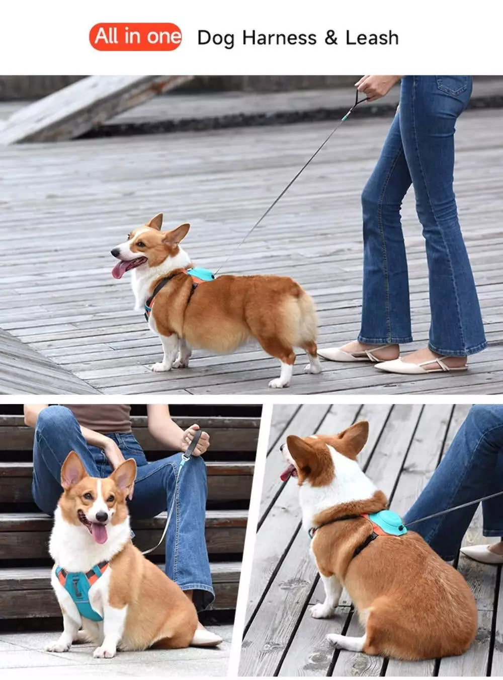 All in one Dog Harness and Leash Set