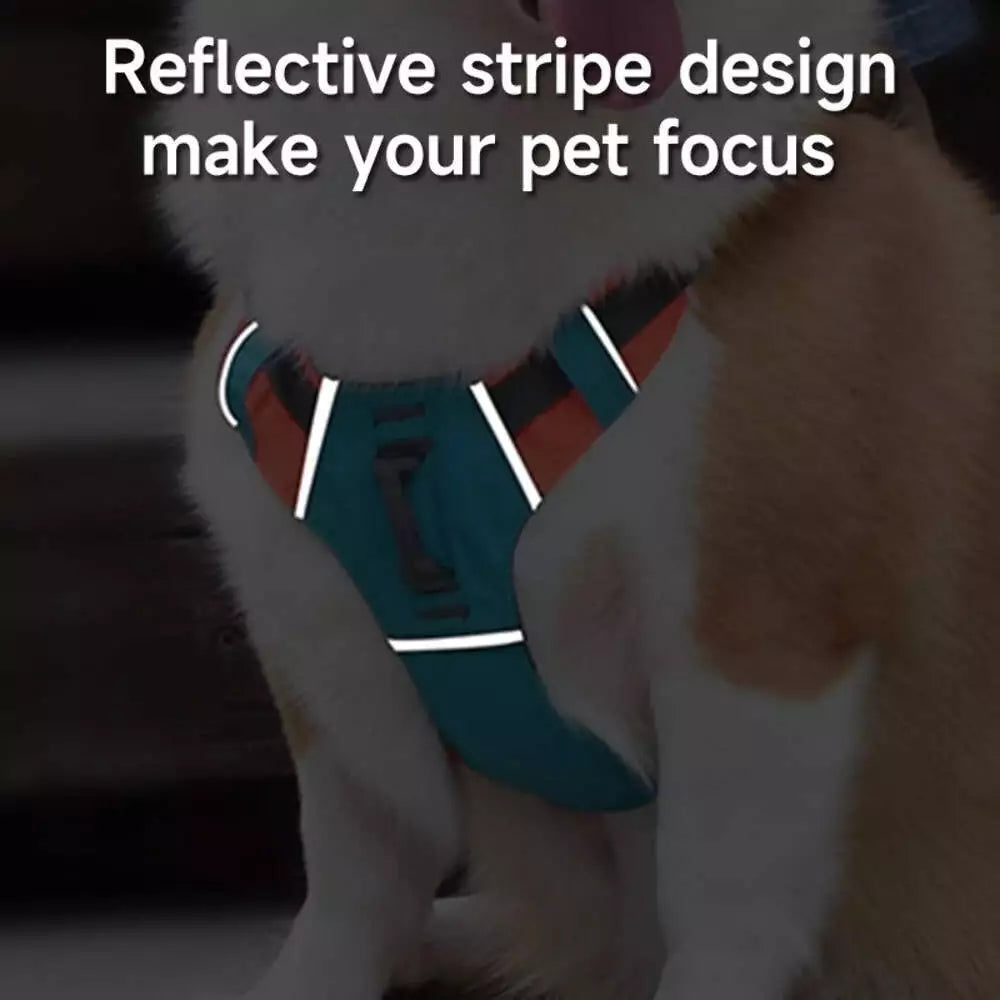 All in one Dog Harness and Leash Set