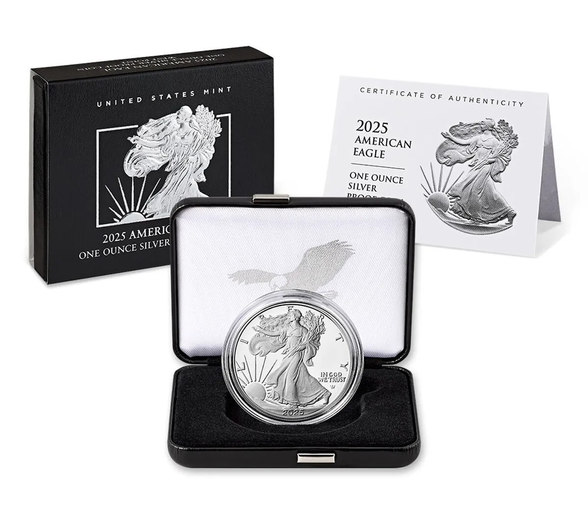 🔥2025 1 oz American Silver Eagle Coin
