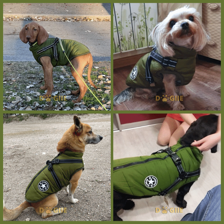 🔥70% OFF TODAY🔥 Waterproof Winter Jacket with Built-in Harness