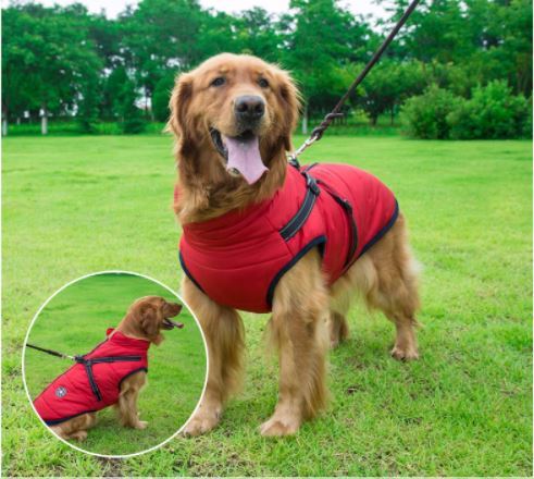 🔥70% OFF TODAY🔥 Waterproof Winter Jacket with Built-in Harness