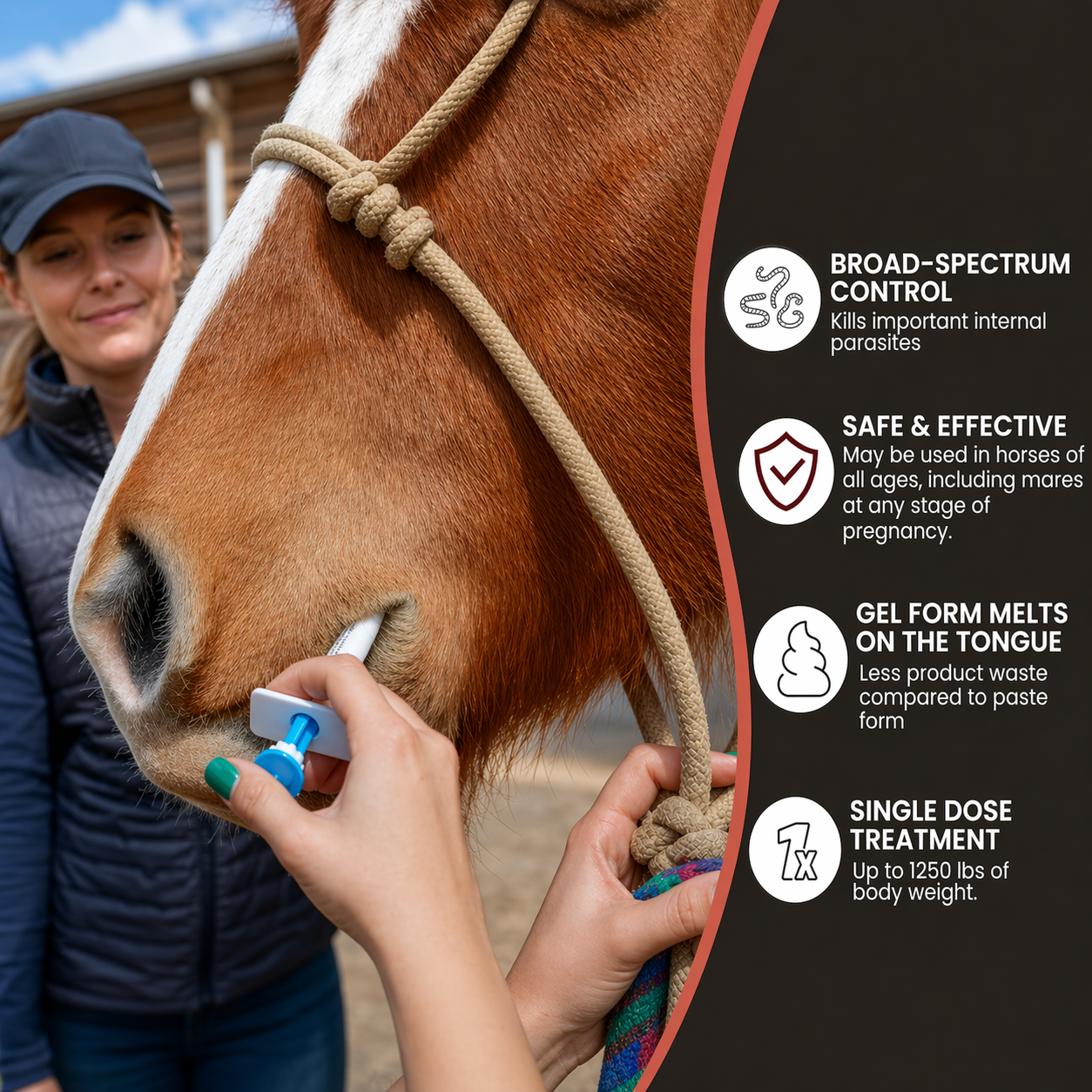 🔥Last Day 49% OFF - ivermectin Horse Paste 1.87% 6.08g Tubes