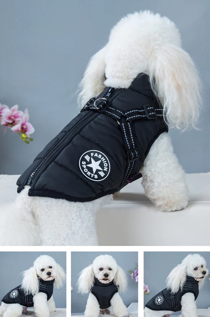 🔥70% OFF TODAY🔥 Waterproof Winter Jacket with Built-in Harness
