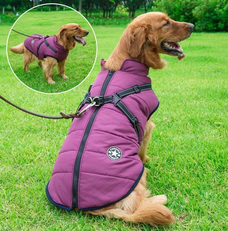 🔥70% OFF TODAY🔥 Waterproof Winter Jacket with Built-in Harness
