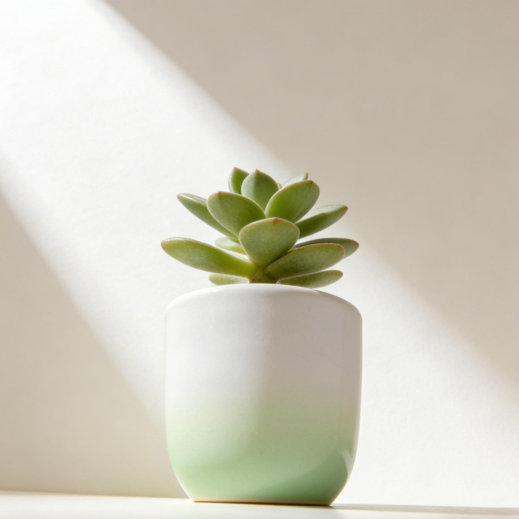 Dekoracyjna mini doniczka na stół