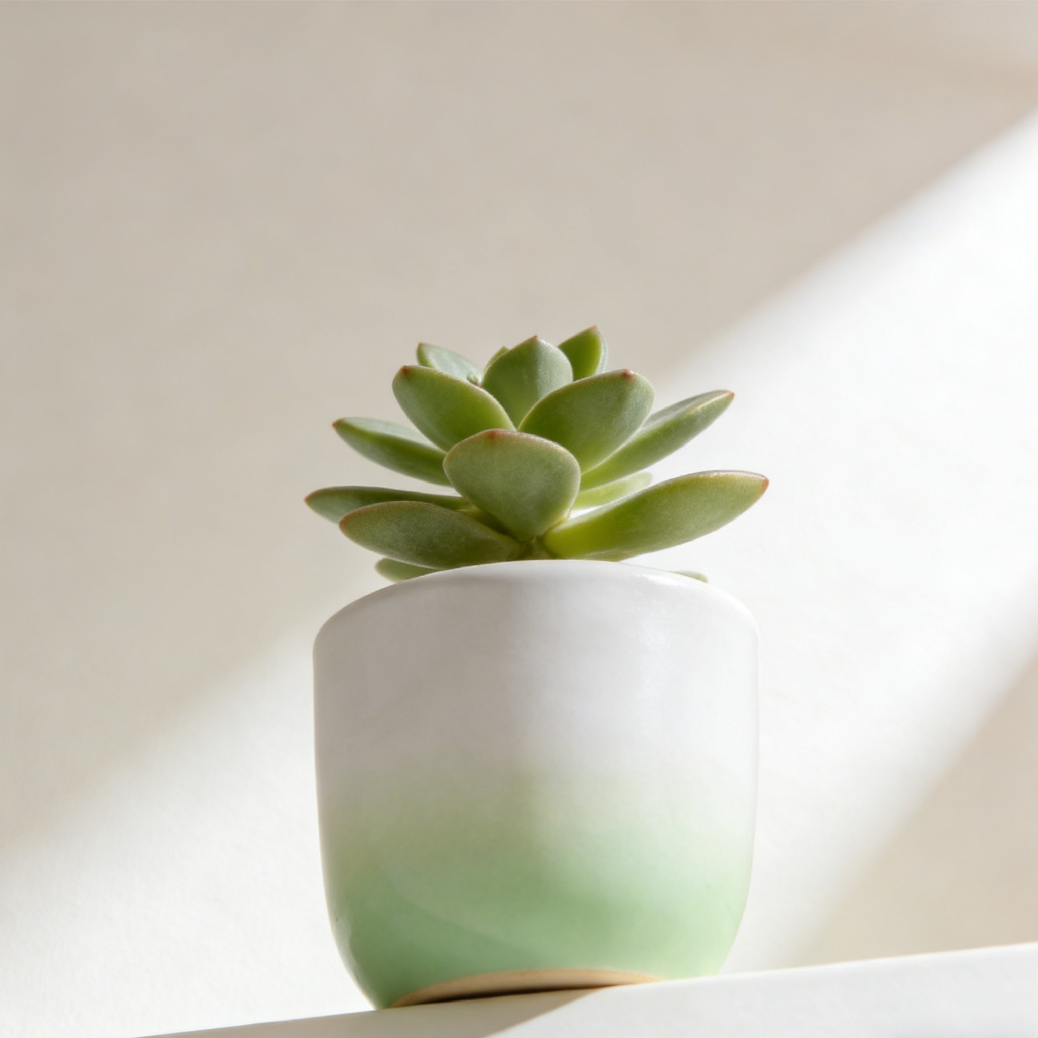 Dekoracyjna mini doniczka na stół