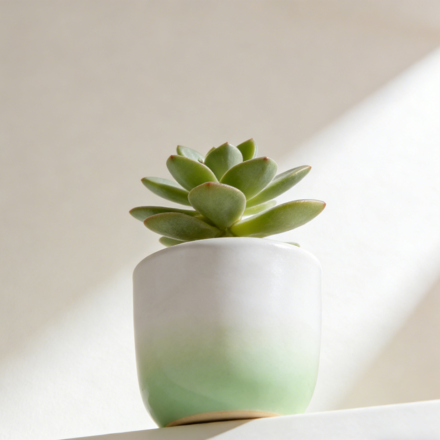 Dekoracyjna mini doniczka na stół