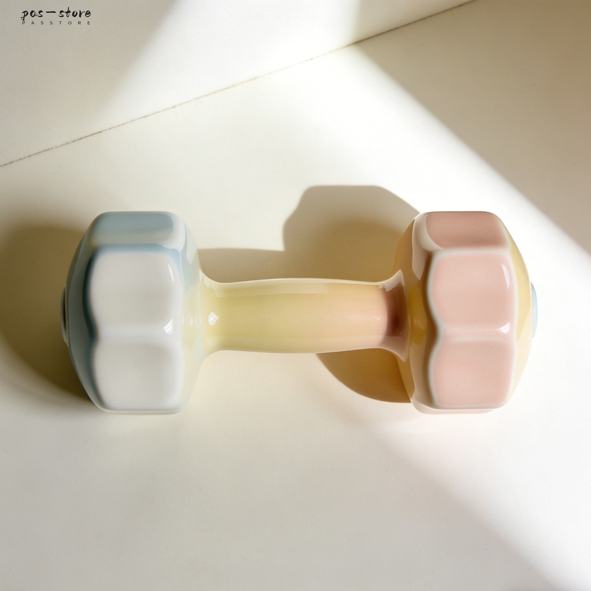 Home Fitness Dumbbells Set of 2 for Strength Training