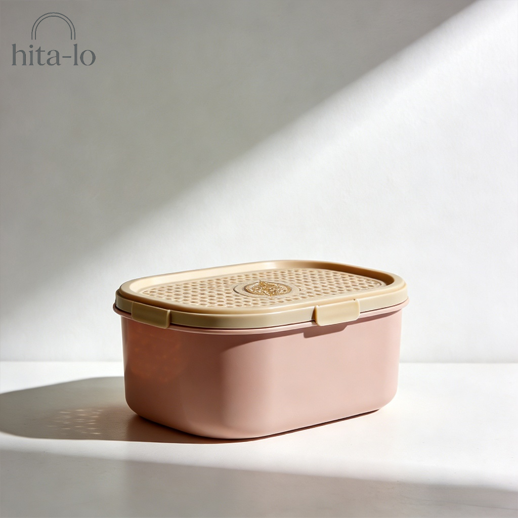 Haushalts-Entfeuchtungs- und Trockenboxen (2 Stück)