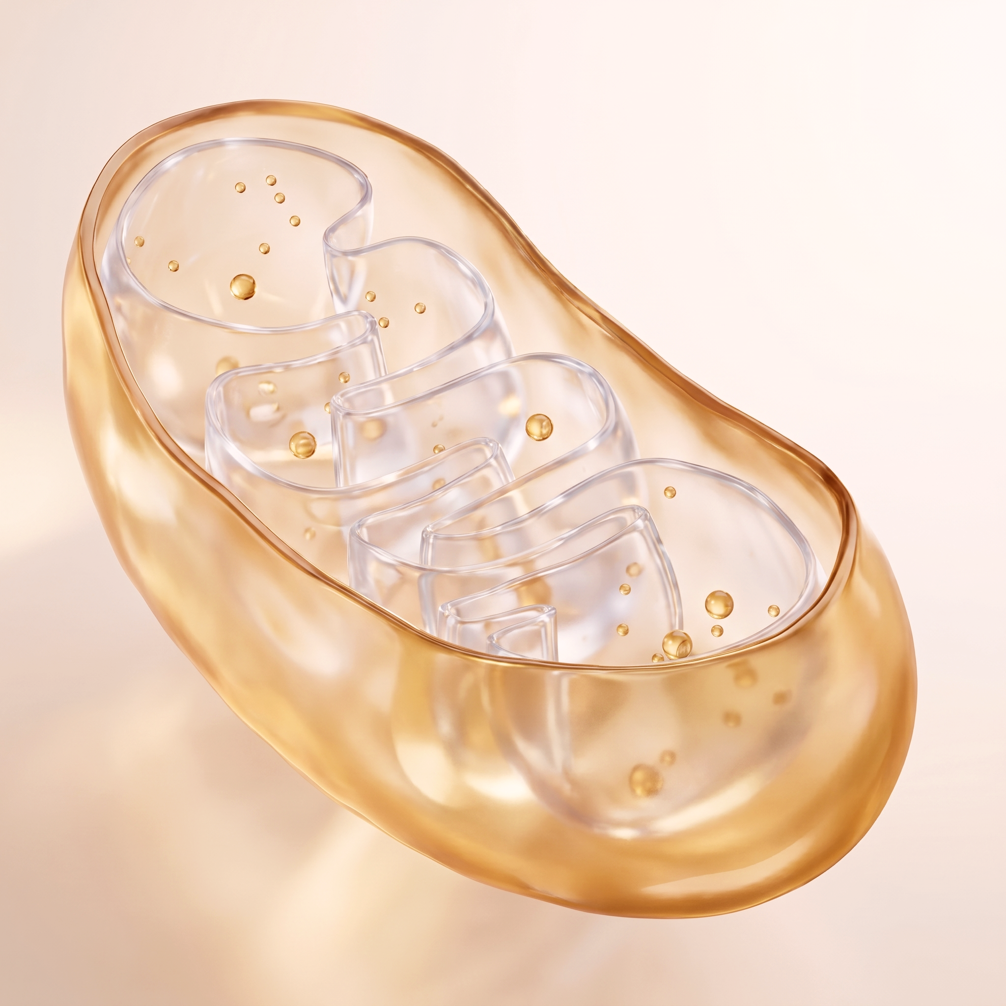 {"default":"Vifluma wellness ritual - Modern skincare technology"}
