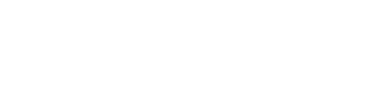 V-Flow