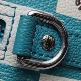 Louis Vuitton（LV） City Keepall Bag Limited Edition Marque Deposee Damier Giant — thumbnail 13
