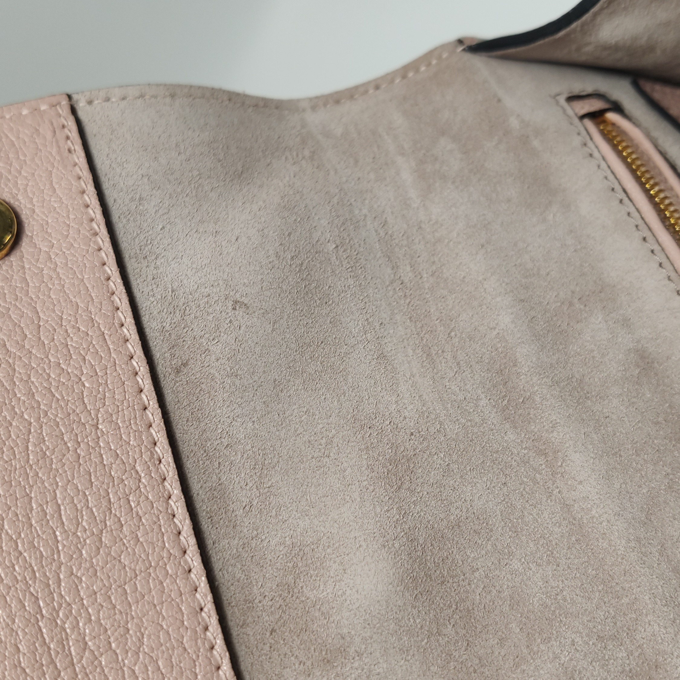 Miu Miu Dahlia Crossbody Bag Crystal Embellished Leather — photo 10 of 24
