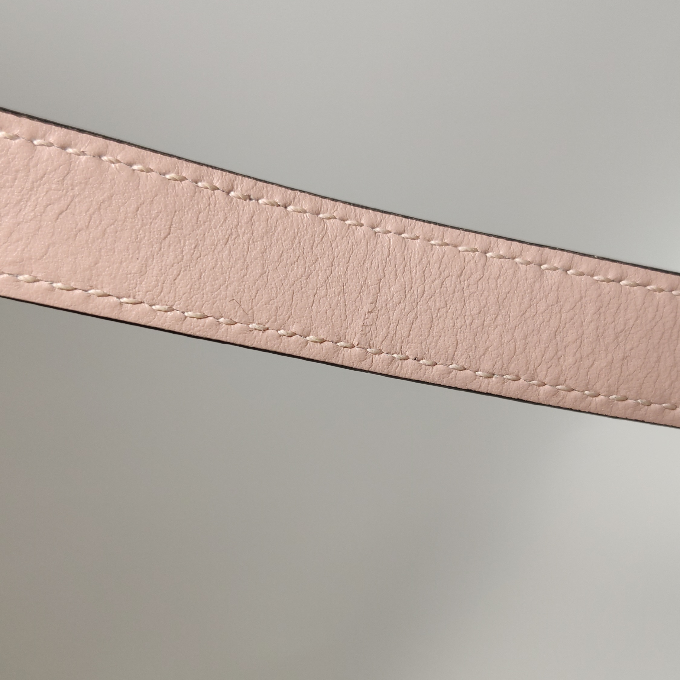 Miu Miu Dahlia Crossbody Bag Crystal Embellished Leather — photo 15 of 24