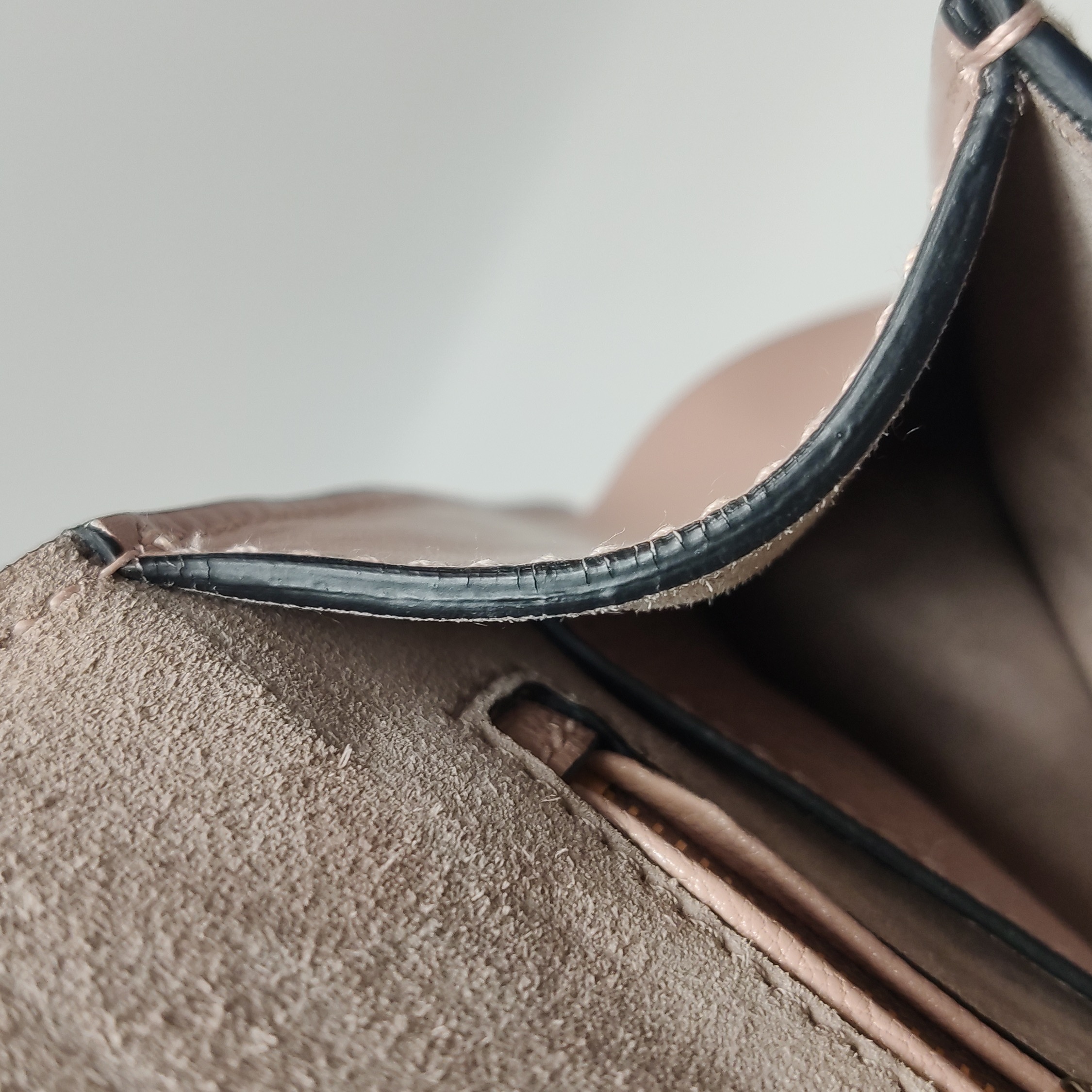 Miu Miu Dahlia Crossbody Bag Crystal Embellished Leather — photo 19 of 24