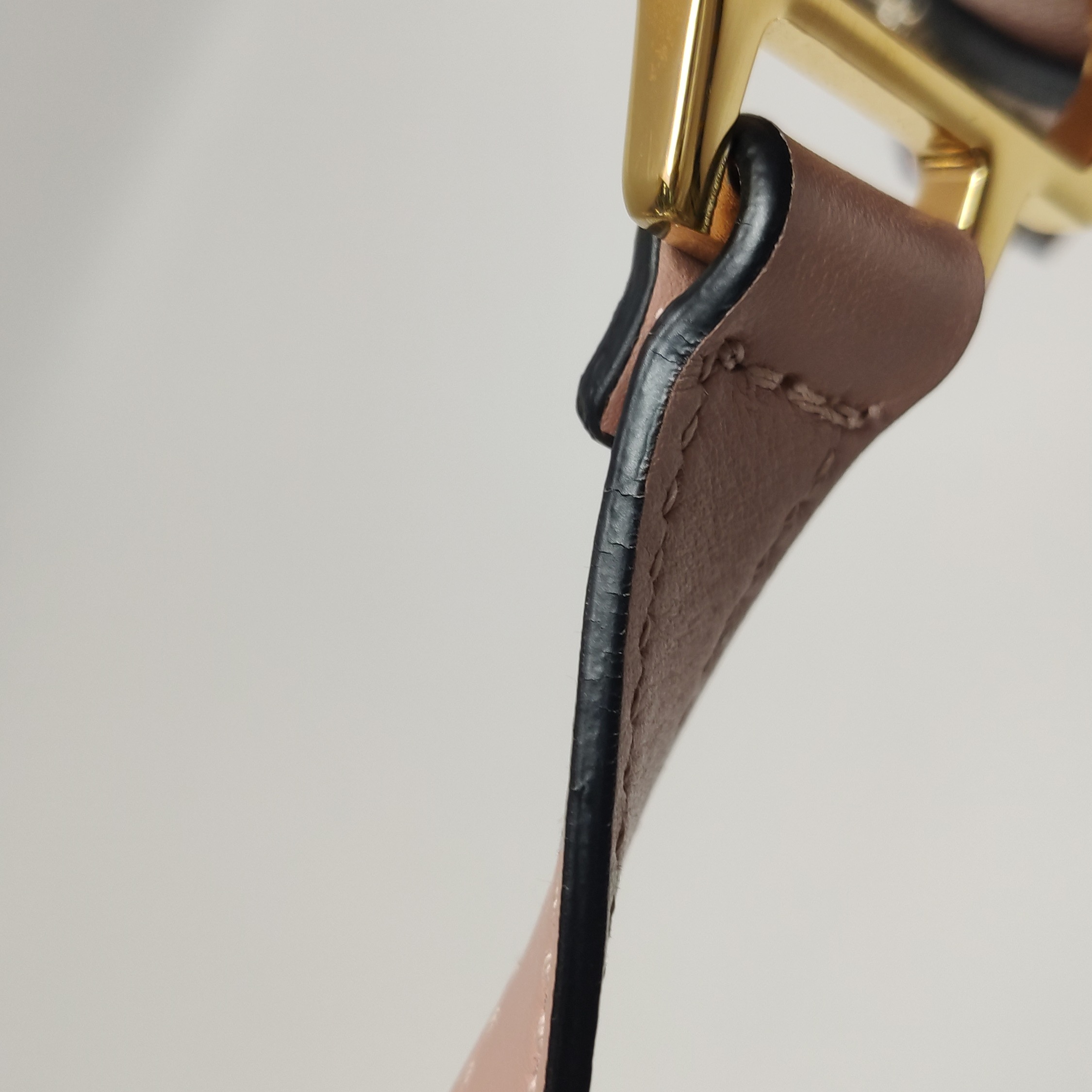 Miu Miu Dahlia Crossbody Bag Crystal Embellished Leather — photo 16 of 24