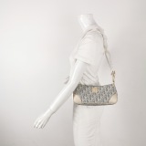 Christian Dior 30 Montaigne Shoulder Bag Oblique Canvas — thumbnail 2