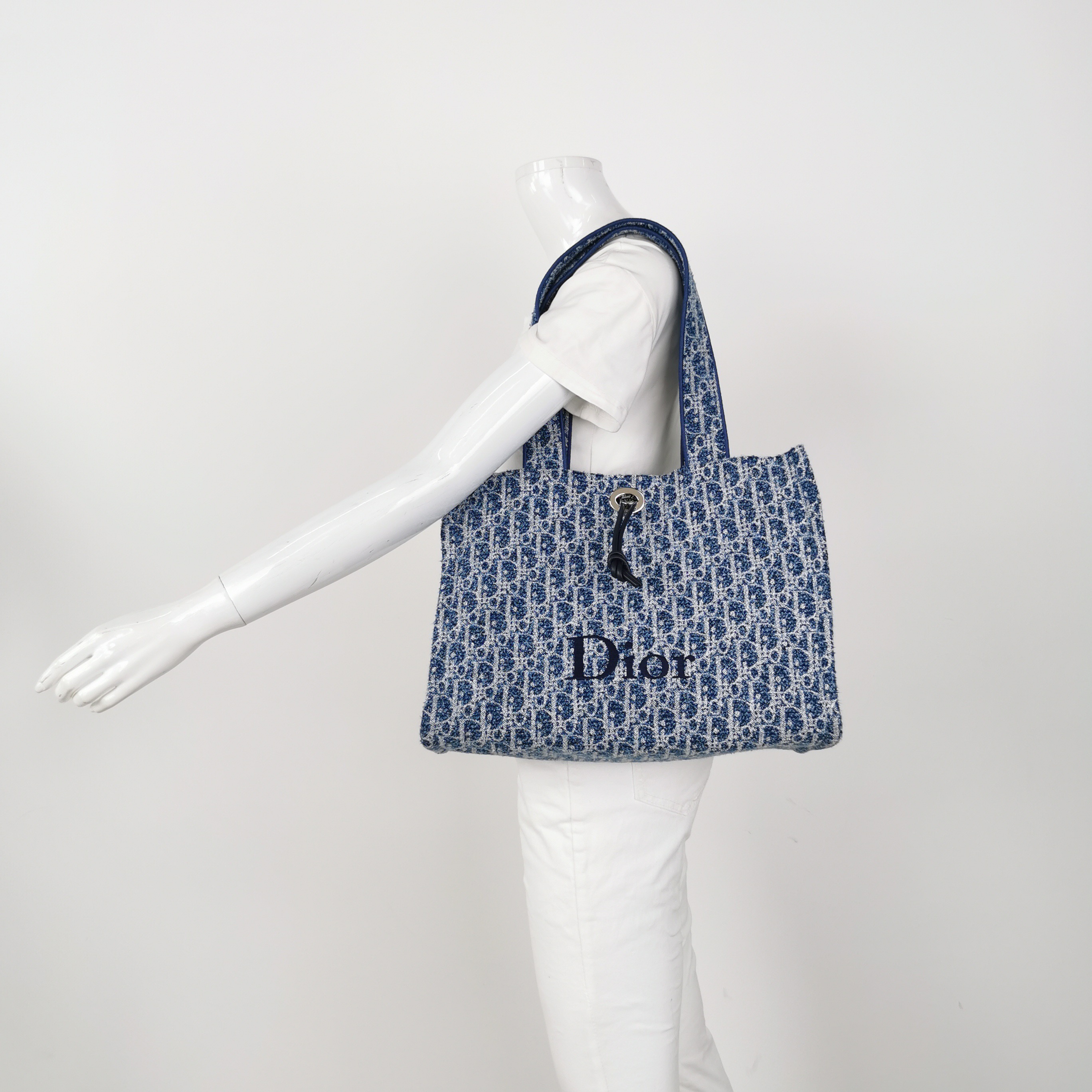 Christian Dior Book Tote Oblique Canvas Medium — alternate view