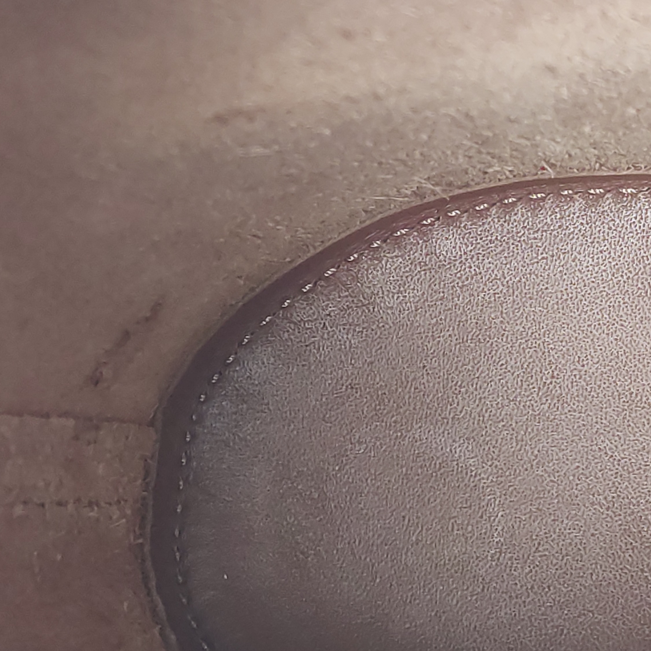 Loewe Balloon Bucket Bag Canvas and Leather Micro — photo 9 of 19