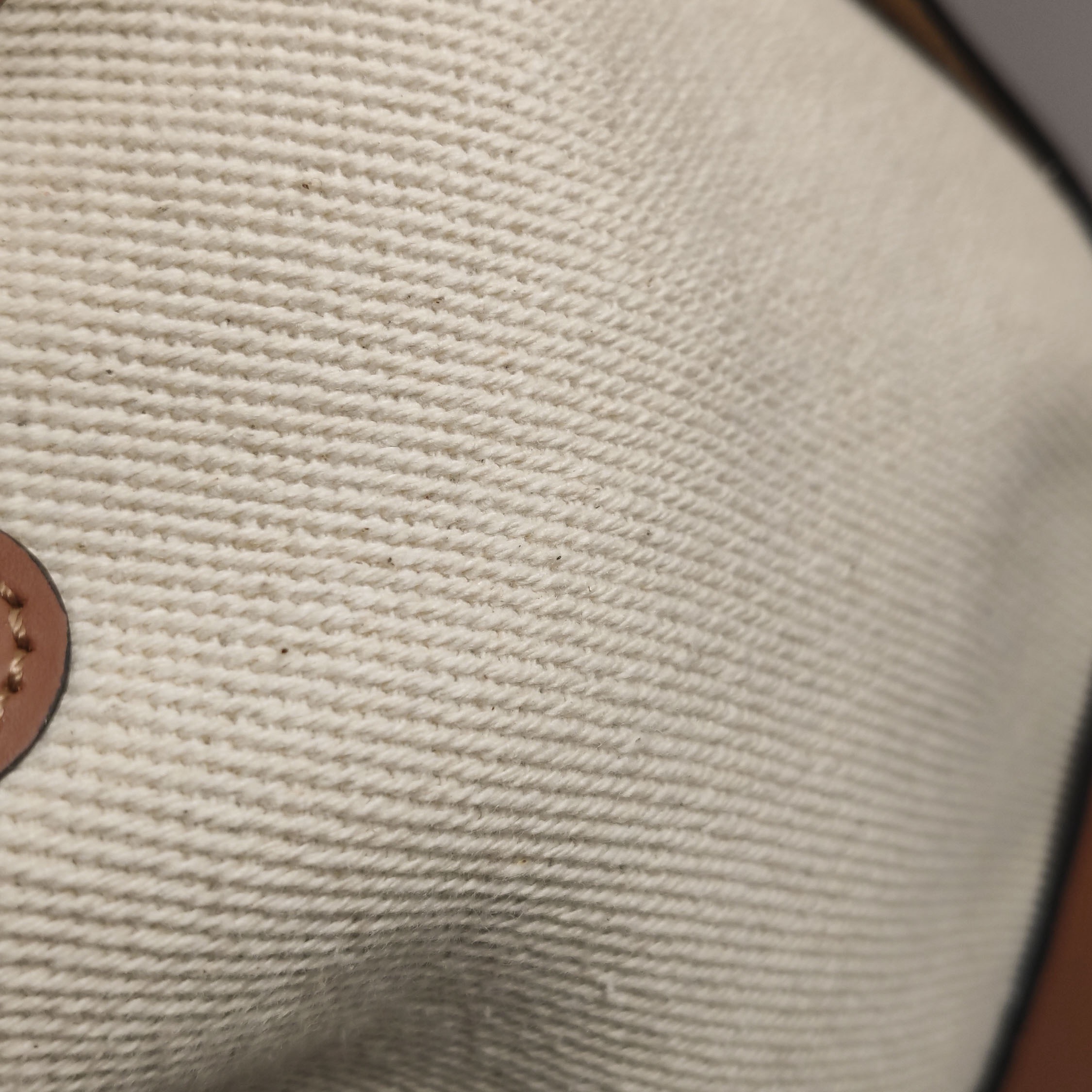 Loewe Balloon Bucket Bag Canvas and Leather Small — photo 12 of 12